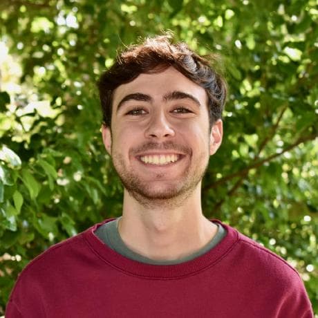 Christopher Simaan's portrait
